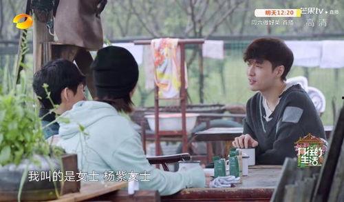 黄磊杨紫最新爆料,揭秘娱乐圈幕后真相